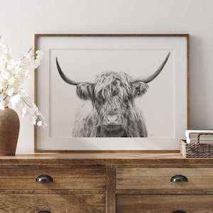 May include: Black and white pencil drawing of a Highland cow with long, shaggy fur and large horns. The drawing is framed in a simple wooden frame and is displayed on a wooden dresser.