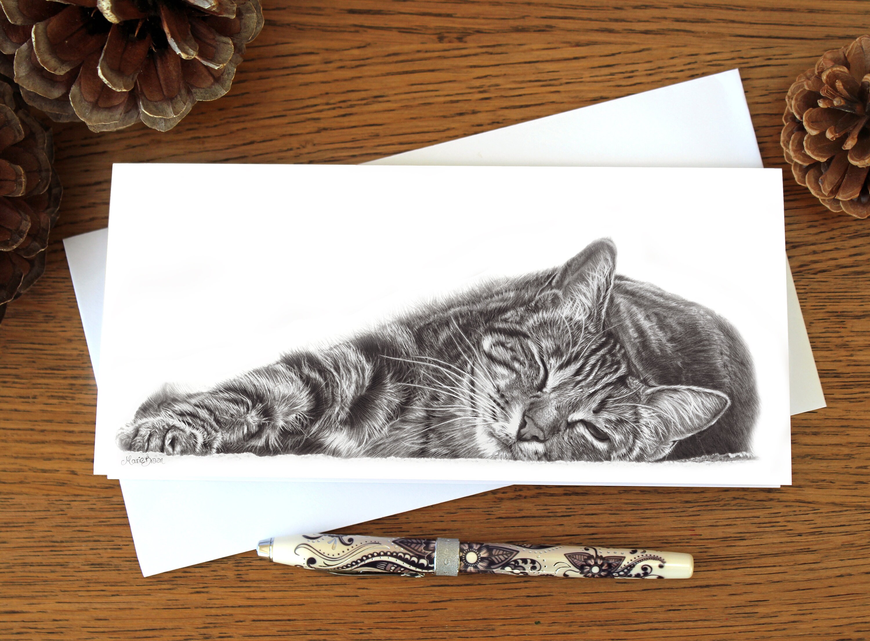 Set of 3 Cat Greetings Cards Cat Cards Animal Art Card Etsy