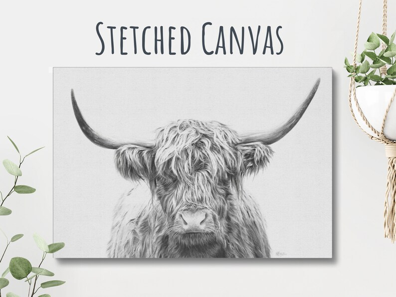 May include: Black and white illustration of a Highland cow with long, shaggy hair and large horns. The cow is looking directly at the viewer. The background is a light gray.