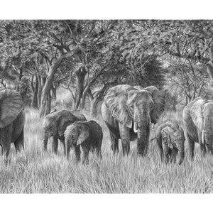 Elephant Drawing LIMITED EDITION Art Print | Elephant Artwork | Elephant Drawing | Elephant Gifts | African Wildlife Art | Elephant Decor