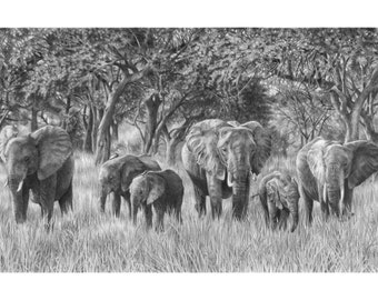 Elephant Drawing LIMITED EDITION Art Print | Elephant Artwork | Elephant Drawing | Elephant Gifts | African Wildlife Art | Elephant Decor