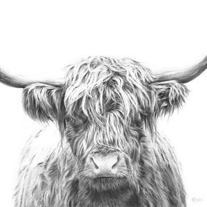 May include: A black and white pencil drawing of a Highland cow with long, shaggy hair. The cow is looking directly at the viewer with a calm expression.
