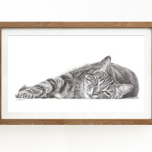 framed tabby cat pencil drawing wall art print