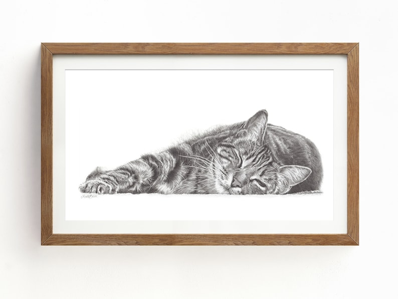 framed tabby cat pencil drawing wall art print