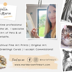 May include: A collage of images showcasing animal art. The artist, Marie, is pictured drawing a cat. Other images include a zebra, a cat, and a hedgehog. The text reads "Hello, I'm Marie. I'm a full-time professional Artist in the UK. I specialise in Animal Art of Pets & all Kinds of Wildlife. Archival Fine Art Prints | Original Art Gifts | Greetings Cards | I accept Commissions! Find me on @mariefineart www.mariebrownfineart.com"