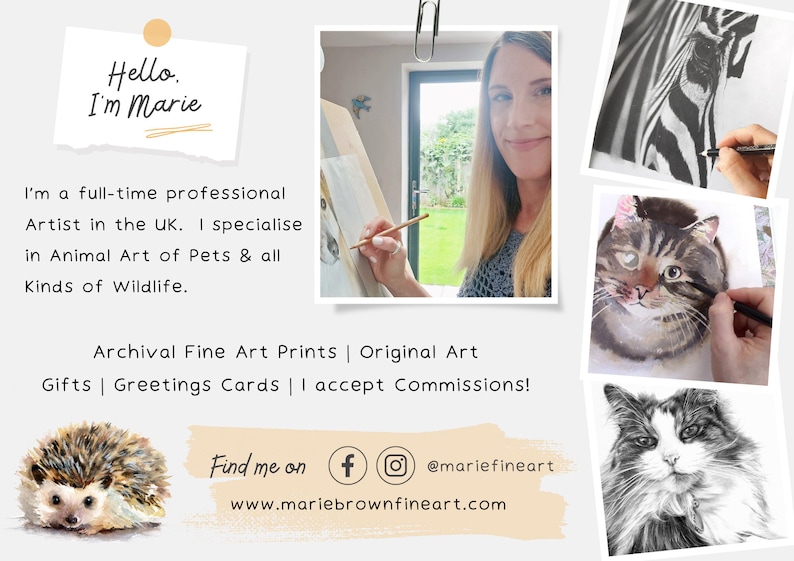 May include: A collage of images showcasing animal art. The artist, Marie, is pictured drawing a cat. Other images include a zebra, a cat, and a hedgehog. The text reads "Hello, I'm Marie. I'm a full-time professional Artist in the UK. I specialise in Animal Art of Pets & all Kinds of Wildlife. Archival Fine Art Prints | Original Art Gifts | Greetings Cards | I accept Commissions! Find me on @mariefineart www.mariebrownfineart.com"