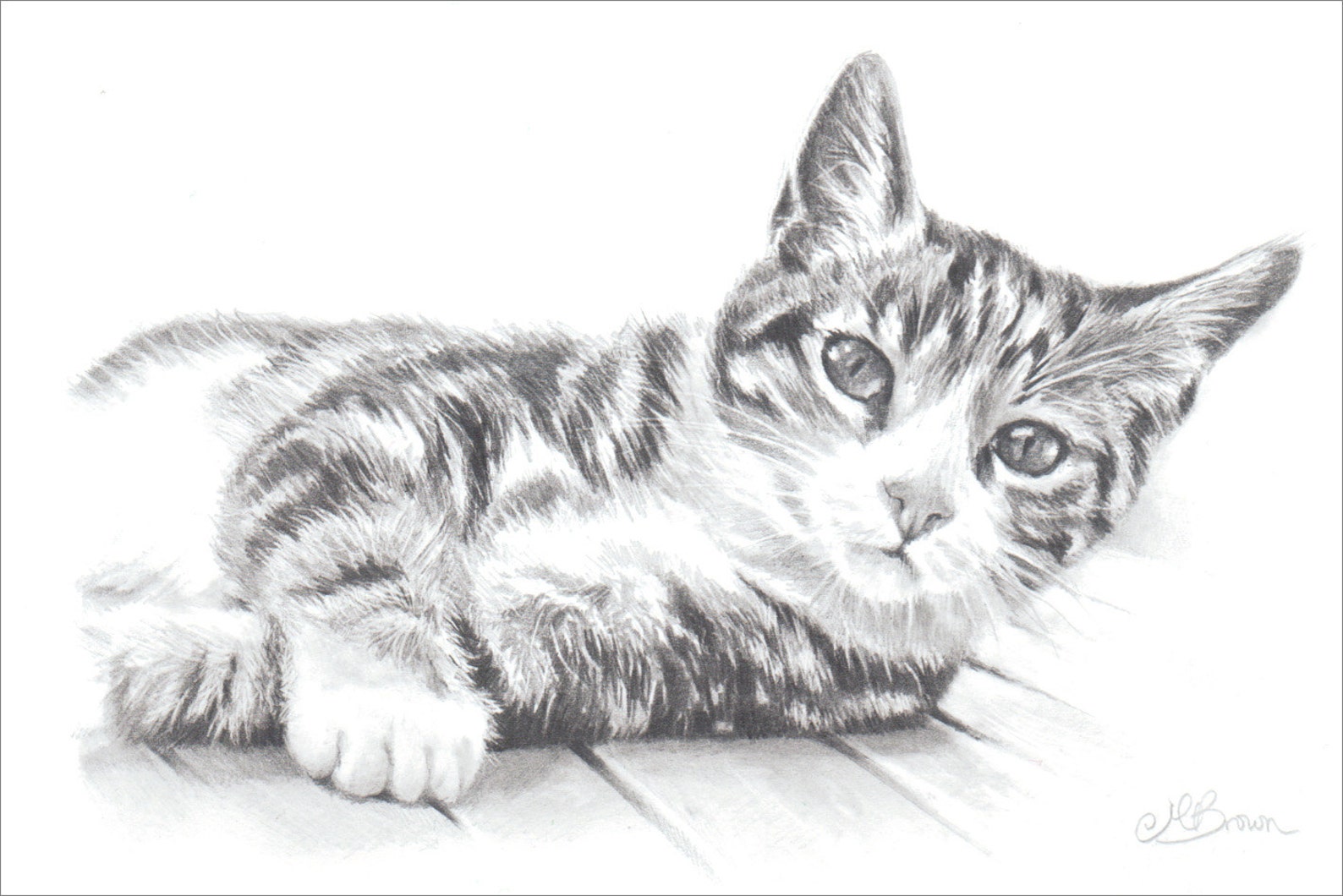 Кот нарисованный