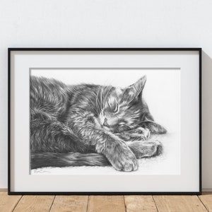 Tabby Cat Pencil Drawing Fine Art Art Print, Perfect Gift for Cat Lovers, Cat Art, A4 Print, Tabby Cat Gift.