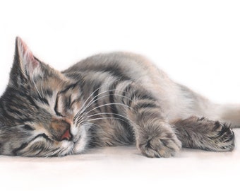 Tabby Cat Wall Art Print,  Cat Lovers Gift, Sleeping Cat Art, Cat Paintings