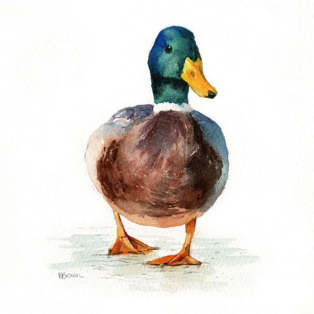 Mallard duck art print mini print watercolour painting duck wall art