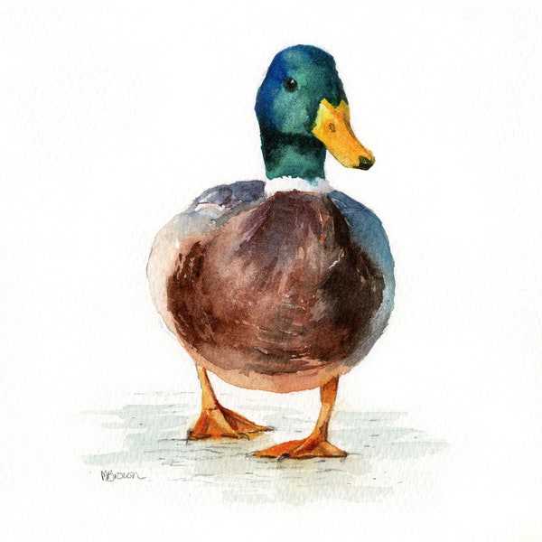 Mallard Duck Art Print, Mini Print, Watercolour Painting, Duck Wall Art, Wildlife Art, British Wildlife, Animal Lover, Countryside Art