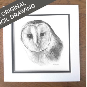 Original Barn Owl Pencil Drawing, Owl Sketch Wall Art for Farmhouse Decor, Wildlife Drawing Art, Original Wildlife Artwork