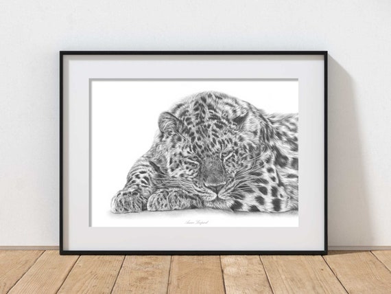 Leopard Animal Art Print, Limited Edition Art, Big Cat Art, Leopard Gifts, Amur Leopard Wall Art, Pencil Artwork