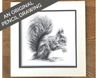 Original Red Squirrel Pencil Drawing, Squirrel Sketch Wall Art for Farmhouse Decor, Wildlife Original Drawing, Wildlife Artwork