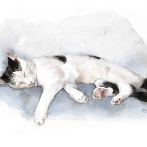 Sleeping Black and White Cat print, Watercolour Painting, Cat Gift, Personalized Cat Print, Cat Fine Art.