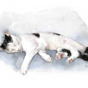 Sleeping Black and White Cat print, Watercolour Painting, Cat Gift, Personalized Cat Print, Cat Fine Art.