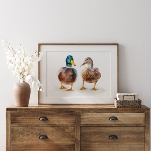 Mallard ducks couple art print framed on a wooden chest of drawers
