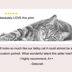 review of tabby cat pencil drawing wall art print by marie brown