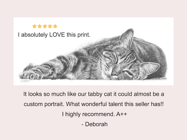 review of tabby cat pencil drawing wall art print by marie brown