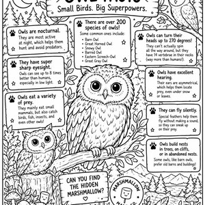 May include: A black and white educational poster titled OWL FACTS Small Birds. Big Superpowers. featuring illustrations of owls, forest scenery, and text boxes detailing facts about owl behavior, anatomy, and species, with a hidden marshmallow game.