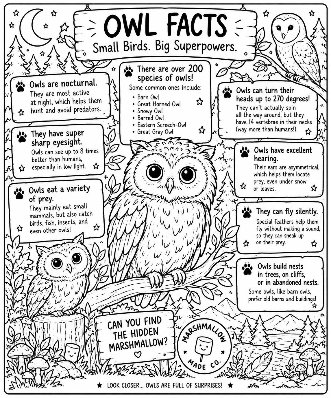 Owl Facts Coloring Page | Owl Educational Activity | Printable Kids Science Worksheet | Nature Color