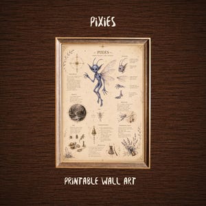 Könnte beinhalten: Ein gerahmter Wandkunstdruck mit dem Titel PIXIES, der eine zentrale Illustration eines geflügelten Wesens zeigt, umgeben von kleineren Skizzen von Flügeln, Händen, Füßen, einer Glocke und Lavendel, mit beschreibenden Textblöcken auf Pergament.