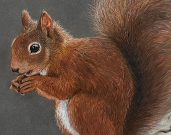Red Squirrel Original Pastel Drawing (A2).