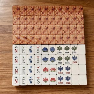 May include: A set of rectangular mahjong tiles arranged in rows. The top rows feature a brown marbled pattern. The bottom rows are white with printed designs including the letters N, E, W, S with directional arrows, lotus flowers, and Joker text.
