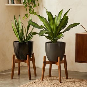 Adjustable Acacia Wood Plant Stand, Mid Century Modern Pot Holder, Heavy Duty Planter
