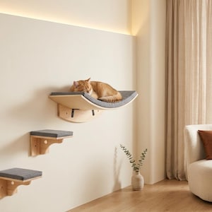Può includere: Un set di mobili da parete per gatti composto da due piccole piattaforme quadrate e una mensola curva a forma di amaca, realizzati in legno chiaro con cuscini in tessuto grigio scuro, con un gatto arancione che riposa sulla mensola superiore.
