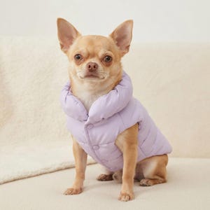 Puede incluir: Un perro Chihuahua pequeño de color canela que lleva un chaleco acolchado de color lavanda claro. El chaleco cuenta con un cuello alto acolchado y un cierre frontal con botones a presión a juego. La tela acolchada tiene una textura lisa.