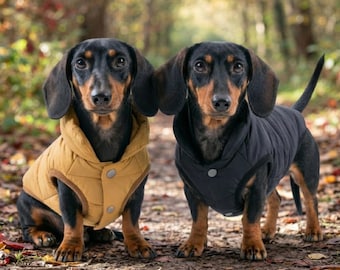 May include: Two black and tan dachshunds wearing quilted vests. The dog on the left wears a mustard yellow vest with silver buttons, while the dog on the right wears a black vest with silver buttons. Both dogs have long ears and short legs.