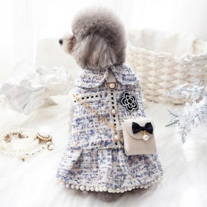 female dog christmas dress Outfit celebrations.