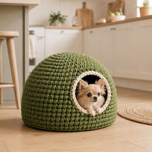 May include: A dome-shaped olive green crocheted pet bed with a thick, cream-colored circular trim around the entrance. A small, long-haired tan dog with large ears and dark eyes is positioned inside the opening of the textured yarn structure.