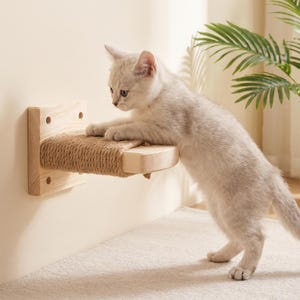 May include: A wall-mounted cat shelf made of light-colored natural wood with a rectangular base and a thick, textured sisal rope scratching pad covering the top surface, featuring four pre-drilled holes for secure installation.