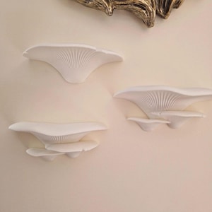 Op de afbeelding: Drie witte, waaiervormige wandsculpturen die lijken op oesterzwammen, elk met gedetailleerde radiale lamellen aan de onderkant. De sculpturen zijn bevestigd aan een effen muur, waarbij een deel van een goudkleurig decoratief object bovenaan zichtbaar is.