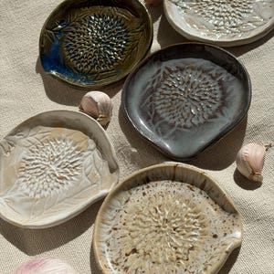 Può includere: Una collezione di cinque piatti grattugia circolari in ceramica, ciascuno caratterizzato da un centro in rilievo e testurizzato per grattugiare aglio o zenzero. I piatti presentano varie finiture smaltate, tra cui verde oliva, bianco, grigio scuro e beige.