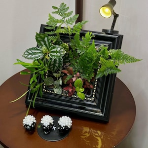 Pode incluir: Uma moldura preta contendo uma variedade de plantas de interior verdes e avermelhadas, acentuada com tachas douradas na borda interna. Uma pequena luminária de mesa preta está fixada no topo e três pequenas figuras de ovelhas em preto e branco.