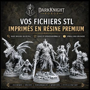 Impression 3D Résine STL Haute Qualité | Figurine DnD, Wargame, RPG, Fantasy | Service d'Impression - Devis personnalisé