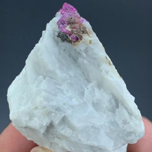 May include: A raw mineral specimen featuring a large, opaque white crystalline base with a distinct, vibrant magenta-pink cluster embedded at the pointed top. The white portion displays a layered, blocky texture, while the pink section is rough.