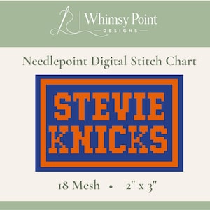 Może przedstawiać: Cyfrowy schemat do haftu krzyżykowego Whimsy Point Designs z napisem STEVIE KNICKS pomarańczowymi literami na niebieskim prostokątnym tle z pomarańczową obwódką. Wzór jest przeznaczony dla kanwy 18 mesh i ma wymiary 5,08 cm na 7,62 cm.