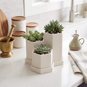 Peut inclure: Un pot de fleurs en céramique blanc cassé à trois niveaux, composé de trois compartiments hexagonaux de hauteurs différentes. Chaque section contient une plante succulente verte dans de la terre avec des petits cailloux blancs décoratifs.