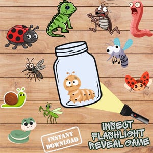 Printable Insect Flashlight Game | Bugs Learning Activity for Toddlers, Preschool & Kindergarten | Instant PDF