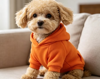 Haustier Hoodie für Katzen & Hunde | Zweibeiniges Sport-Sweatshirt mit Tasche | Warme lässige Katzenhundekleidung für kleine und mittelgroße Haustiere