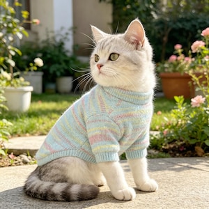 Könnte beinhalten: Eine helle Katze mit grauer Tabby-Zeichnung trägt einen Strickpullover. Der Pullover hat einen gerippten Rundhalsausschnitt und kurze Ärmel und ist in einer sanften Pastellfarbpalette mit horizontalen Streifen in Hellblau, Blassrosa und Gelb gehalten.