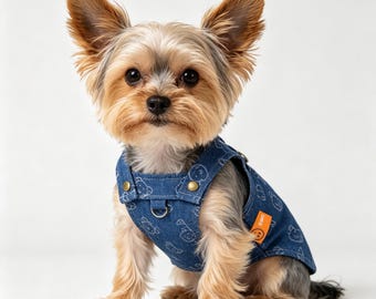 Frühlings-Sommer-Denim-Haustier-Kleid für Katzen und kleine Hunde, niedlicher Jean-Overall-Rock, Teddy Bichon Pudel, stilvolle Haustier-Paar-Kleidung