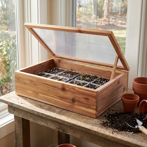 May include: A rectangular cedar wood cold frame with a hinged, translucent polycarbonate lid propped open. Inside, several small plastic seed starter trays contain dark potting soil and tiny green seedlings. The frame is a natural wood tone.
