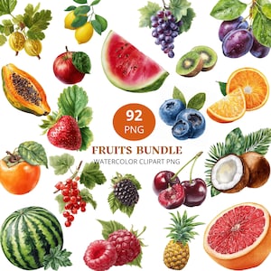 Può includere: Una collezione di illustrazioni di frutta ad acquerello che include uva spina, limoni, uva, prugne, mela, fetta di anguria, kiwi, papaia, fragola, mirtilli, fette d'arancia, cachi, ribes rosso, mora, ciliegie, cocco, anguria, lamponi, ananas e pompelmo. Il testo recita 92 PNG FRUITS BUNDLE WATERCOLOR CLIPART PNG.