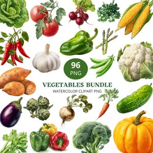 96 Watercolor Vegetables Clipart Bundle, Healthy Food PNG, Digital Garden Illustrations, Commercial Use Graphics, Kitchen Scrapbook Kit