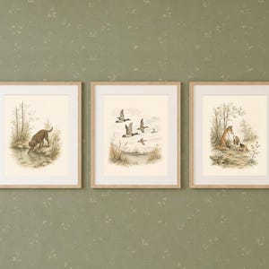 Op de afbeelding: Drie ingelijste wandkunstwerken met gedetailleerde dierenillustraties. De linker print toont een bruine hond bij een beek, de middelste print toont eenden in de vlucht boven moerasland en de rechter print toont een vos met welpen in een bos.